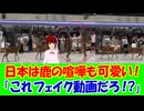 【海外の反応】 日本では鹿の喧嘩さえ可愛いいと海外で話題に！ 「日本に相応しいじゃないか。角をぶつけ合うような野蛮な喧嘩は、あの美しい国には似合わない。」
