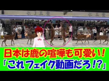 【海外の反応】 日本では鹿の喧嘩さえ可愛いいと海外で話題に！ 「日本に相応しいじゃないか。角をぶつけ合うような野蛮な喧嘩は、あの美しい国には似合わない。」