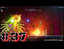 【ブレイブルーエントロピーエフェクト 】ローグライトなブレイブルーを二人でプレイ！ #37【実況プレイ】
