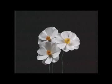 【枯れた心のままで】再生/ピコン　歌ってみた【佐羽粋】