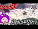 モンスターマスターゆかり　part15【ドラクエモンスターズ3】