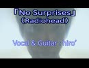 Radiohead「No Surprises」【アコギ多重録音アレンジで歌ってみた】
