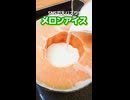 SNSで鬼バズり中のメロンアイスがやばすぎた