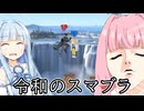 遂にステージすら無くなってしまう【スマブラSP】【ボイスロイド実況】