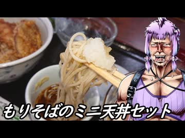 【練馬・中村橋 瀧乃家】北斗の麺【もりそばミニ天丼セット】