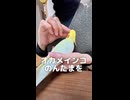 【閲覧注意】のんたまがパカッ…！？極上の癒やしと背徳感がたまらないオカメインコの秘め事♡