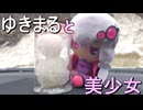 北海道一のゆきだるまを生み出してしまった記録【ボイロ車載】