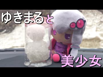 北海道一のゆきだるまを生み出してしまった記録【ボイロ車載】