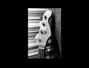 Message in a Bottle / THE POLICE  STING   Bass Vocal Cover