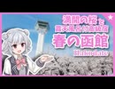 【北海道旅2026】札幌→函館3泊4日　満開の桜！思いがけず絶景に出会った函館（DAY3・DAY4）｜レイクヒルファーム｜湯の川プリンスホテル渚亭｜五稜郭公園｜ラッキーピエロ｜【うらら旅日記#67】