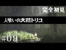 【初見プレイ】目が覚めたら大きなワシがいた Part.9【人喰いの大鷲トリコ/ネタバレ注意】