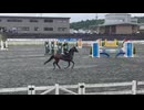 フェリオくん！全日本フレンドリー