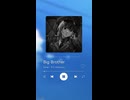Big Brother - Covered by キエン(DiffSinger)