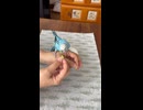 7歳のお誕生日は枝豆パーティ