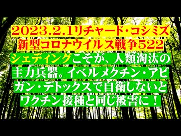 【2023年02月01日 ：『 リチャード・コシミズ「 Internet Lecture 」｟ 新型コロナウイルス戦争 ５２２ ｠｟ RK LIVE ｠｟ 改良版 ｠』】