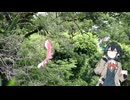 宮舞モカのすばらしき休日 Part25 笹井ダムと花菖蒲