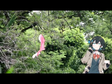 宮舞モカのすばらしき休日 Part25 笹井ダムと花菖蒲