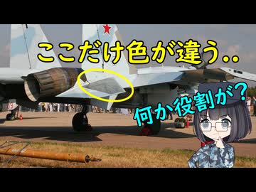 なぜSu-35の尾翼は塗装されてないの？