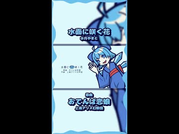 【第18回東方ニコ童祭】水面に咲く花│おてんば恋娘