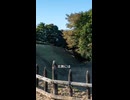 【戦国時代】武田信玄でも落とせなかった北条氏の鉢形城の謎とは？