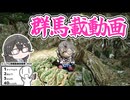【シンプル車載動画投稿祭2026】群 馬 載 動 画【花隈千冬群馬載】