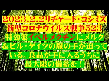【2023年02月02日 ：『 リチャード・コシミズ「 Internet Lecture 」｟ 新型コロナウイルス戦争 ５２３ ｠｟ RK LIVE ｠｟ 改良版 ｠』】