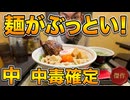 麺がとてつもなくぶっとい【つけ麺】食べてみたら中毒確定の旨さ!!