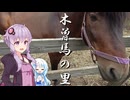 ZX-4Rで木曽馬を見に行こう！【VOICEROID車載】