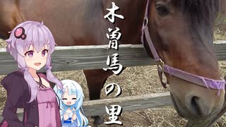 ニコニコ ZX-4Rで行く癒やしの木曽馬＆お蕎麦ツーリング！【VOICEROID車載