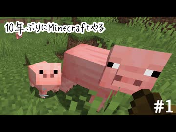 □10年ぶりにMinecraftやる【Minecraft】#1
