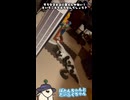 文字の位置ってどこが良いんでしょうね