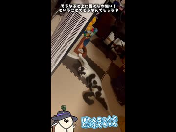 文字の位置ってどこが良いんでしょうね