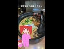 【飯テロ版】Will / 重音テトSV