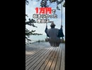 【予算1万円】日間賀島で猫探し＆飯テロの旅！…のはずが衝撃の結末にｗｗｗ【着物の旅人】