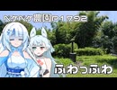 2026年7月20日　日記1792　頭がふわふわする日・・・はんどん