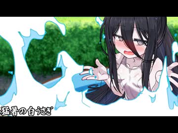 猛暑の白うさぎ