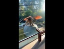 動物園に行こう
