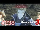 巡る命を追いかけて ゼノブレイド3を初見実況　part238