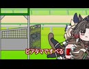 【＃ウマ娘】どアタマですべる【＃タモリ倶楽部】