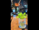カフェGOOD LIFE旭川に行ってきた【Vlog】