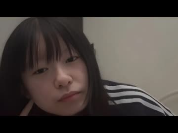 ぴーぽー (2026/3/24)  餌もらう犬【コメントなし】