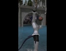 【FF14 エモート】赤魔道士「戦いに備える」