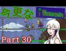 【Terraria】今更なテラリア　その30