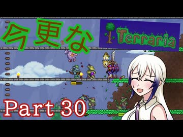 【Terraria】今更なテラリア　その30