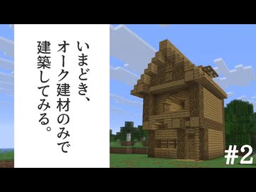 □建築が終わるまでリアル時間付き合ってもらうね【Minecraft】#2
