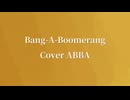 【洛天依-心華】Bang-A-Boomerang Cover ABBA