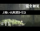 【初見プレイ】目が覚めたら大きなワシがいた Part.11【人喰いの大鷲トリコ/ネタバレ注意】