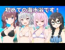 【ソフトウェアトーク劇場】フィーちゃん初めての海