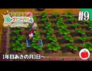 【実況】いもだけでクリアする牧場物語 Let's！風のグランドバザール【#9】