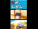 夏恒例、霊夢VSモスキート！？